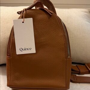 Quince Italian Leather Sling Mini Pack Bag Backpack